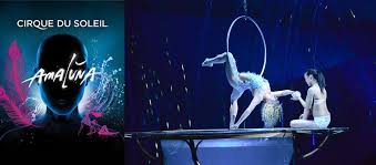 Cirque Du Soleil Amaluna Under The White Big Top San