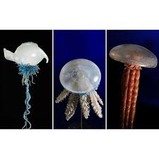 The Immortal Jellyfish Wmoda Wiener