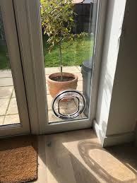Cat Flap Fitting Into Glass Double
