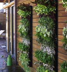 Vertical Garden Ideas Green Walls