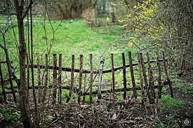 Livestock Fencing For The Small