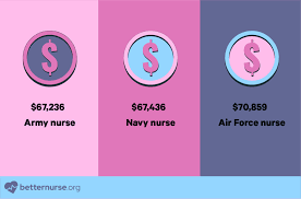 Nurse In The Military Salary gambar png