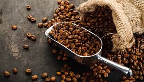 10 most expensive coffee beans in the world. Four Most Expensive Coffee Beans