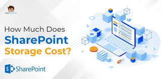 how much does sharepoint storage cost
