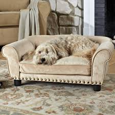 dog couch bed ideas on foter
