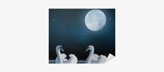 Beddinginn 3d White Swans Couple And