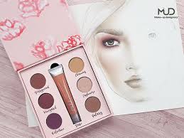 face chart picture of mud make up
