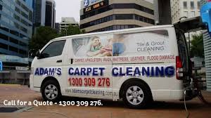 carpet cleaning sydney adam s carpet