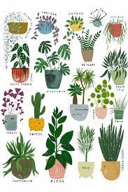 Pianta pulisci aria / 10 tipi di piante che purificano l aria della nostra casa sempreinsalute : Una Casa Naturale Le Piante E I Loro Super Poteri Per Purificare L Aria