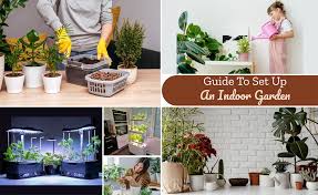 Indoor Gardening For Beginners Start