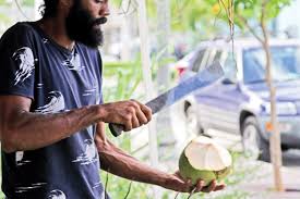 coco man edible south florida