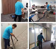 specialist in carpet cleaning shoo