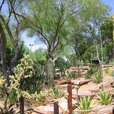 ethel m botanical cactus garden