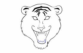 We draw familiar circles, but arrange them differently: How To Draw Tiger Face Tiger Face Drawing Easy Transparent Png Download 510647 Vippng