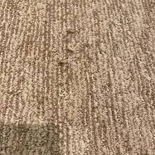 springfield missouri carpeting