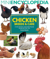 Mini Encyclopedia Of Chicken Breeds And Care A Color