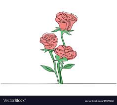 fresh beautiful rose vector image