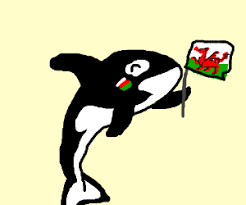 Whales from Wales - Drawception