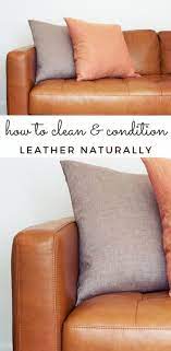 homemade leather sofa cleaner