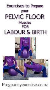 pelvic floor muscles for birth