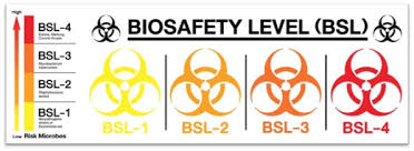 what is biosafety and why is it