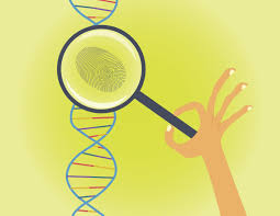 Gizmo answers building dna explore learning building dna gizmo answer key pdf may not make exciting reading, but explore learning building dna gizmo answer key is packed with valuable instructions, information and warnings. The Uses Of Dn Dna Fingerprinting Scottishmusiccentre Com