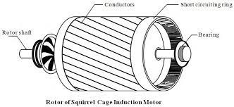 squirrel cage induction motor the