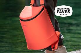 the 7 best backpack coolers of 2024