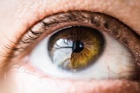 Best Eyelash Extensions For Clients Eye Shape Lashbeepro