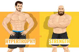 strength vs hypertrophy what are the