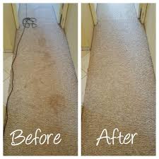 oahu chem dry carpet cleaning malama