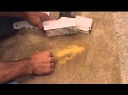 spot remover dye carpet spot cleaner