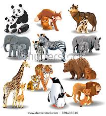 Mammal Baby Stock Images Royalty Free Images Vectors