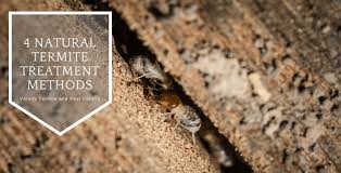 4 natural termite treatment methods