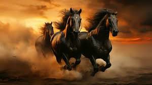 running horses stock photos images and