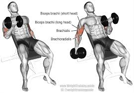 dumbbell arm exercises to build muscle