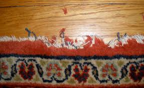 persian rugs services home