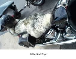 Motorcycle Sheepskin Seat Cover Jumbo