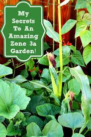 Growing An Amazing Zone 3a Garden
