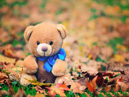 Teddy Bear Wallpaper Hd - Cute Teddy ...