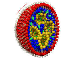 lipid nanoparticles prorenata biotech