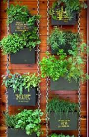 vertical herb garden for the outdoors