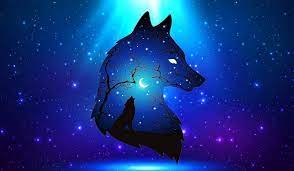cool blue wolf wallpapers wallpaper cave
