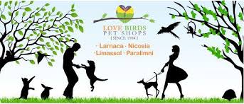 Maybe you would like to learn more about one of these? Love Birds Pet Shops Home Facebook