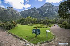 kirstenbosch national botanical garden