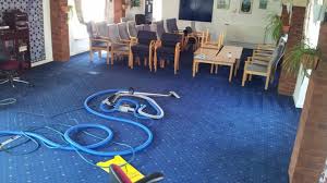 healthy carpet cleaning northern beaches