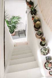 Indoor Cactus Garden Ideas To Display