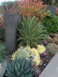 100 Succulent Garden Ideas For