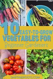 10 Easy To Grow Vegetables For