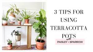 using terracotta pots